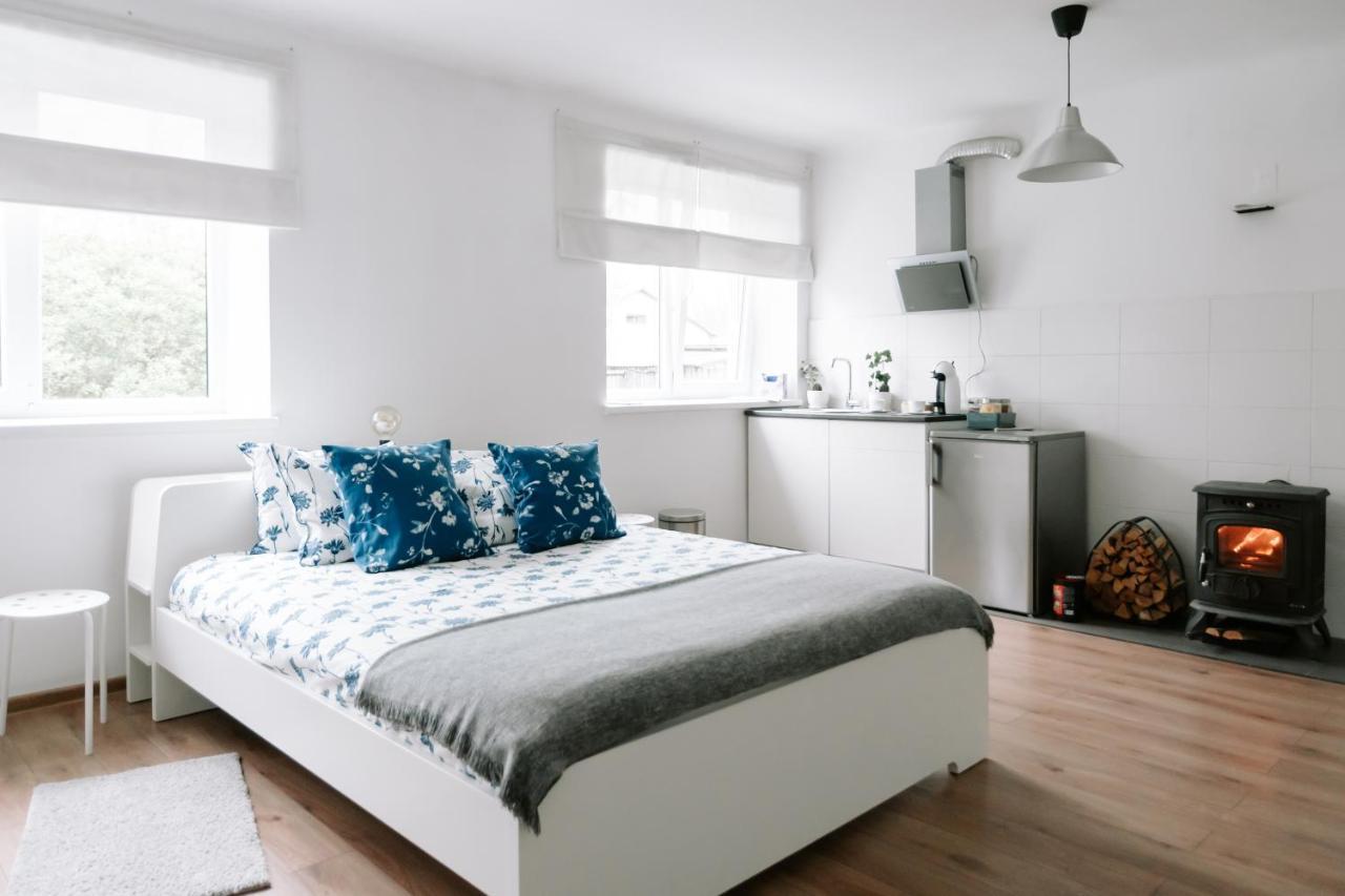 Lake Aluksne Studio Apartment Eksteriør billede