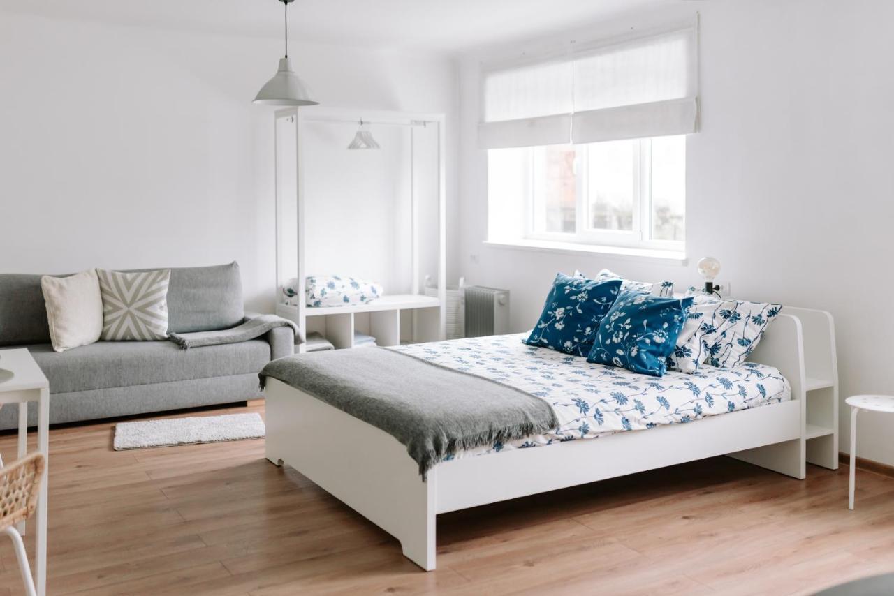 Lake Aluksne Studio Apartment Eksteriør billede