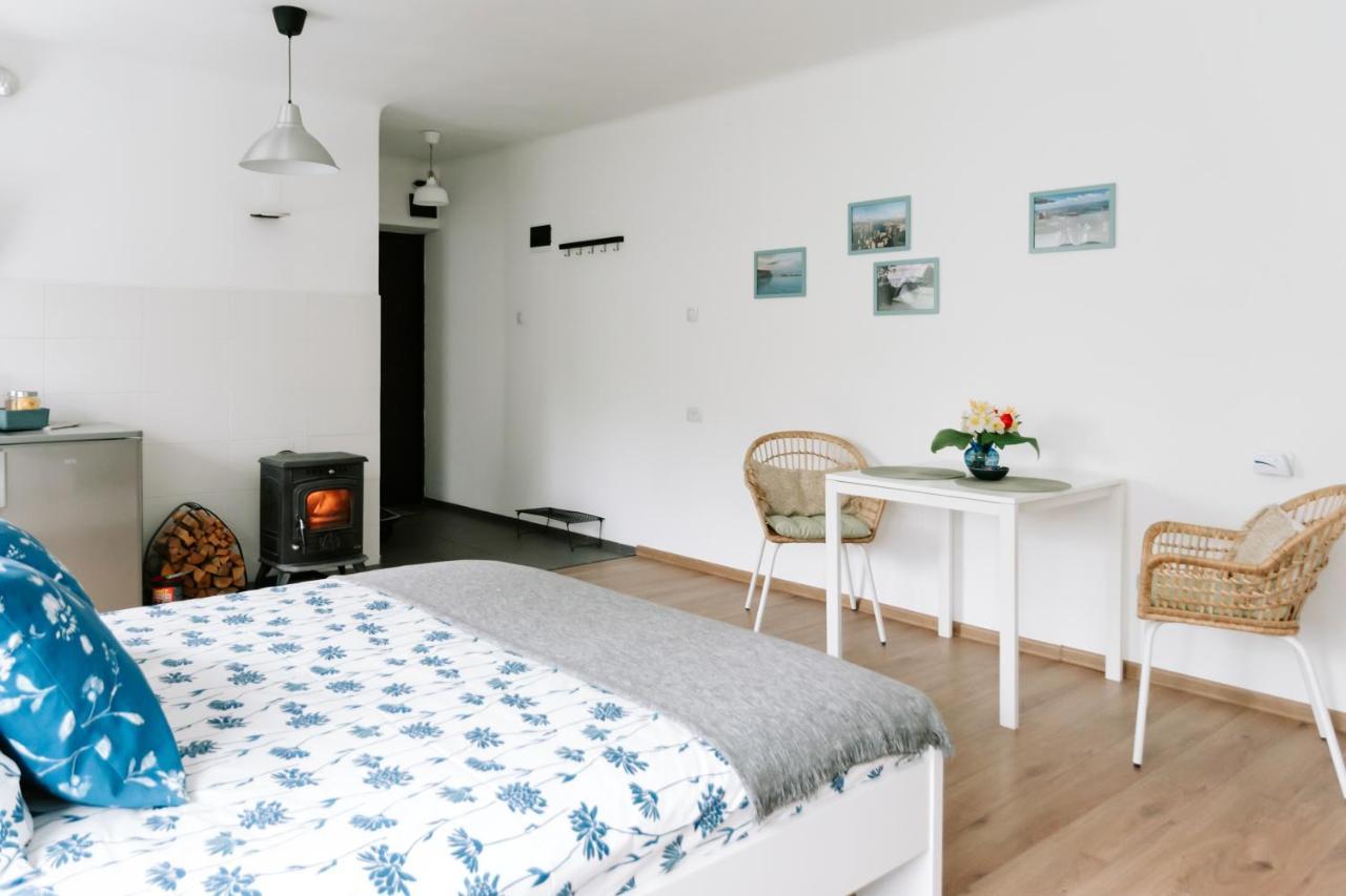 Lake Aluksne Studio Apartment Eksteriør billede