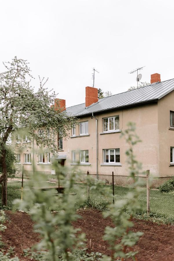 Lake Aluksne Studio Apartment Eksteriør billede